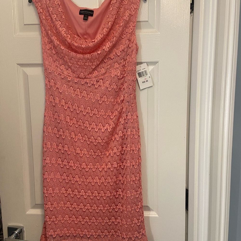Adrianna Papell Pink Lace Dress